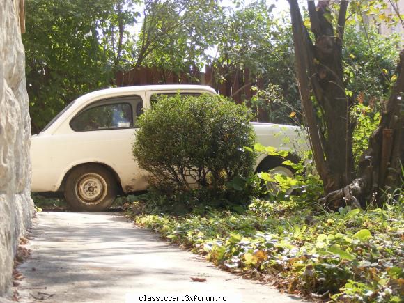 Fiat 850, 1967 - George W. Bush cu fiatul meu in background - Prezentare masini