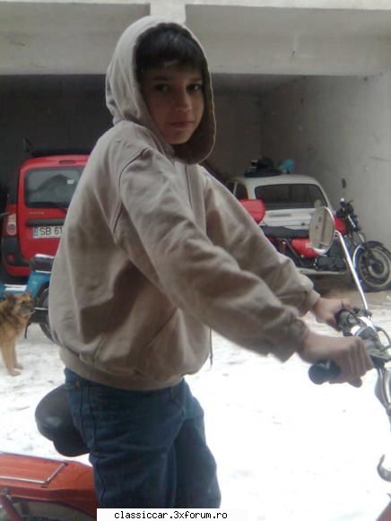 Fifi junior - Eu sunt Alex si am 14 ani Locuiesc in cisnadie - Prezentare forumisti