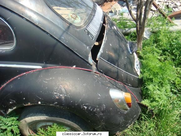 Flor de la Constanta prezinta.... - cu motoru dat jos - Vanatoarea de epave