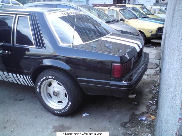 Ford Mustang - glad parau - Am vazut prin Cluj-Napoca