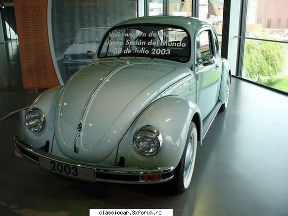 Fusca Tropical - Misu de Cluj - Am vazut prin Cluj-Napoca
