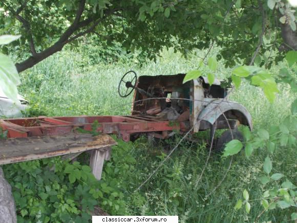 Gasite prin tara - ce a mai ramas dintr-un "zimbru" :( - Am vazut prin Romania