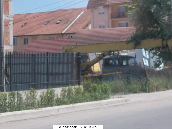 Gasite prin tara - o tatra ascunsa printre vegetatie :( - Am vazut prin Romania