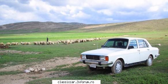 Ghicitoarea Nr. 42 - Paykan - Misu de Cluj - Ghicitoarea zilei