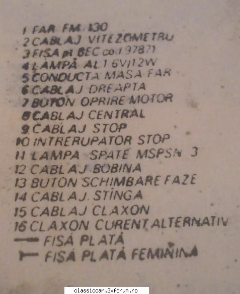 Hoinar timisorean din 1988 - marczello_b - Reconditionari si Restaurari