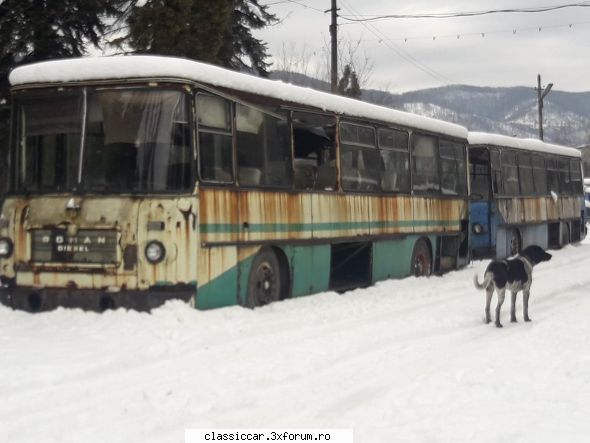 Inca mai traiesc printre noi....in Baia Mare - pif1982 - Coltul camionagiului si tractoristului oldtimerist