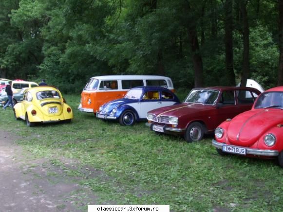Intalniri in Timisoara? - eu am fost la broscute mai de dimineata - Arhiva evenimente 2009