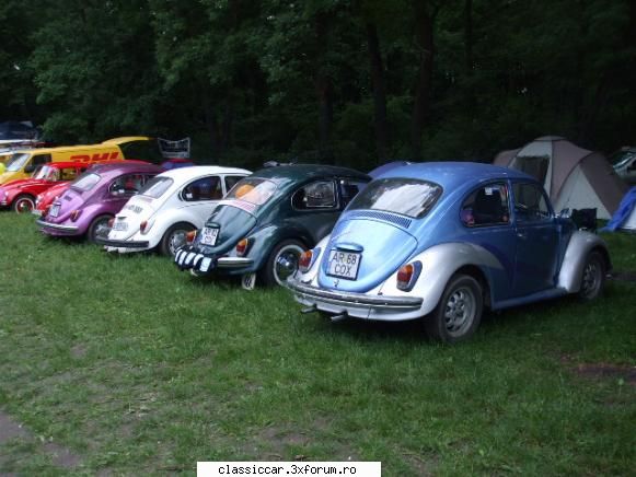 Intalniri in Timisoara? - @sergiup acestea sunt broscutele din Arad? - Arhiva evenimente 2009