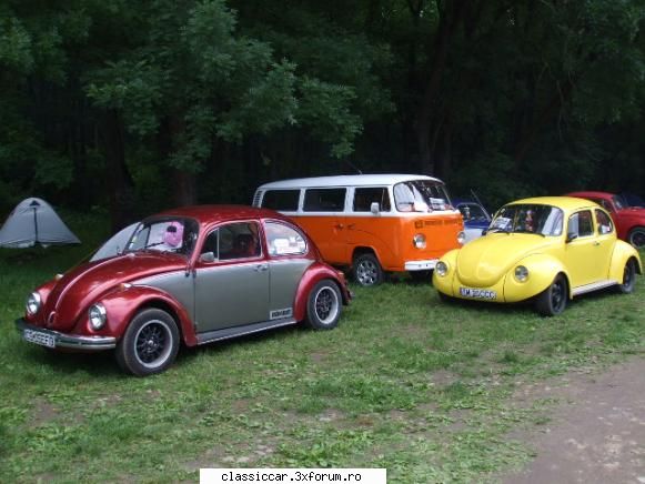 Intalniri in Timisoara? - poze de la intalnirea broscutelor din Timisoara - Arhiva evenimente 2009