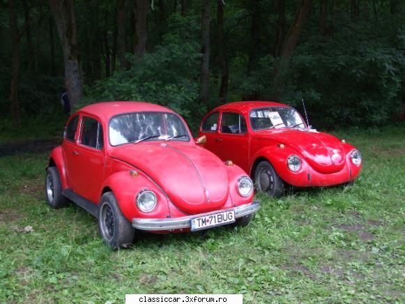 Intalniri in Timisoara? - R16 - Arhiva evenimente 2009