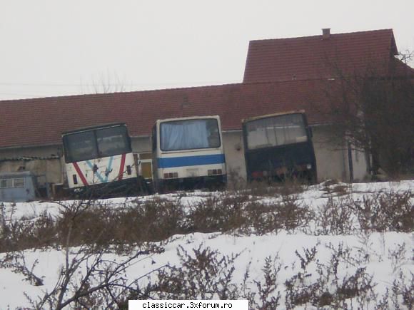 Intilnite prin TURDA - Sau niste autobuze - Am vazut prin Cluj-Napoca