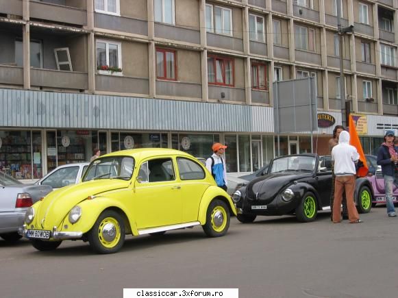 Istoria buburuzelor noastre. - wob - File de istorie