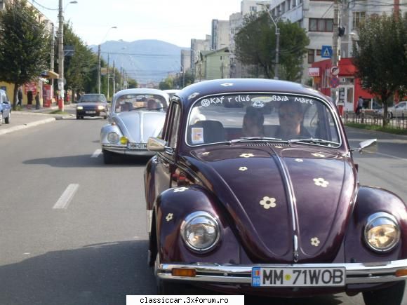 Istoria buburuzelor noastre. - Fiind sigur pe mine,am scos din tabel cu nr.poza - File de istorie