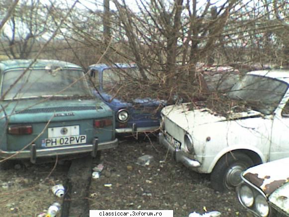 La iesire din Ploiesti....spre Buzau - Dacia 1100 + niscavai Fiaturi bagate in tufisuri - Vanatoarea de epave