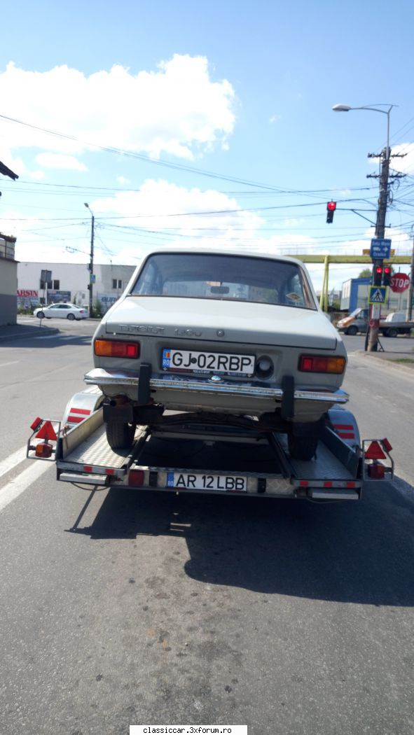 La vanatoare - azi,tot pe la cluj - Am vazut prin Cluj-Napoca