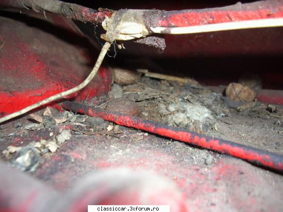 Lancia Fulvia Rally , 1.2 , seria 1 , 1965 - 'Locatarul fidel' ,,'chiriasul - Reconditionari si Restaurari