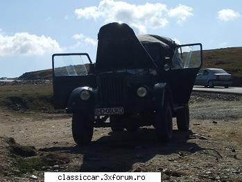 M-ul pe transalpina - la 2000 m respira si el mai greu - Drumetii prin Mioritic