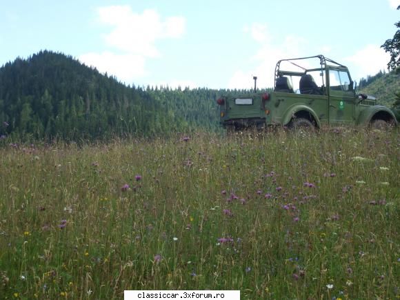 M 461 - benzinaru - sergiu.4x4 - Prezentare masini