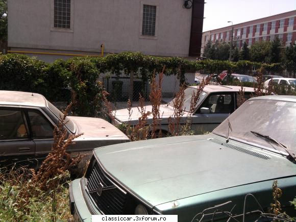 Mai sunt citeva masini vechi in Constanta care merita salvate! - 3 x VOLVO 240...sunt - Am vazut prin Romania