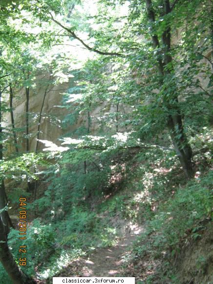 Manastirea Bunea - cararea spre grota - Drumetii prin Mioritic