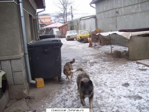 Masini vechi - Si cum nu ma multumesc cu poze facute peste gard - Am vazut prin Cluj-Napoca