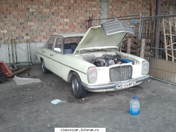 Mercedes-Benz w115 Vestitul "bot de cal" - Am achzitionat acest calut ieri . An - Prezentare masini