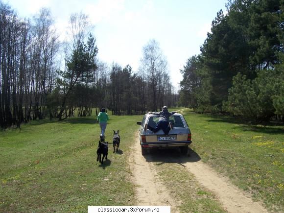 Mercedes Benz W TE - fiul meu a descoperit un mod extrem de a calatori - Prezentare masini