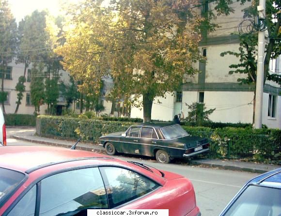 Mercedes W115 "Bot de cal" uitata de vreme... - Misu de Cluj - Am vazut prin Cluj-Napoca