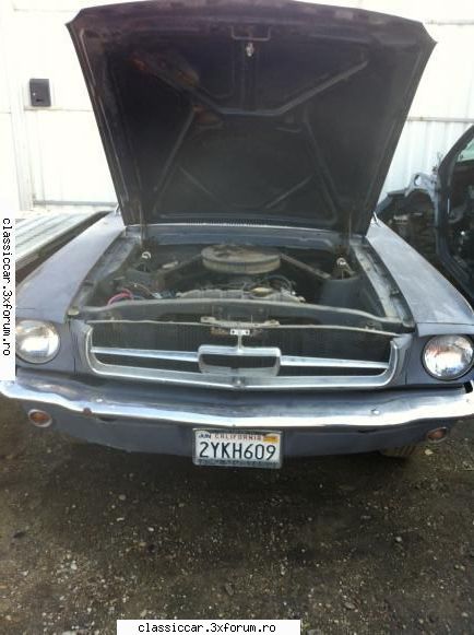 Mustang 1965 - AdyC - Prezentare masini