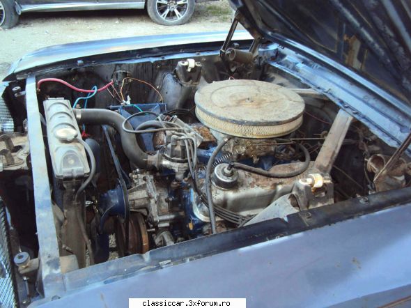 Mustang 1965 - Multumesc mult. Sper la fel si eu. v.r - Prezentare masini