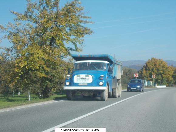 O mica/mare vanatoare - Salutare colegi forumisti, poate multi dintre voi - Am vazut prin Romania