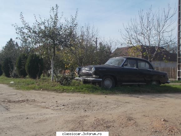 O mica/mare vanatoare - YoKoMy - Am vazut prin Romania
