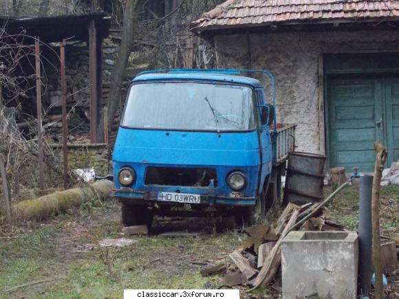 O mica/mare vanatoare - YoKoMy - Am vazut prin Romania