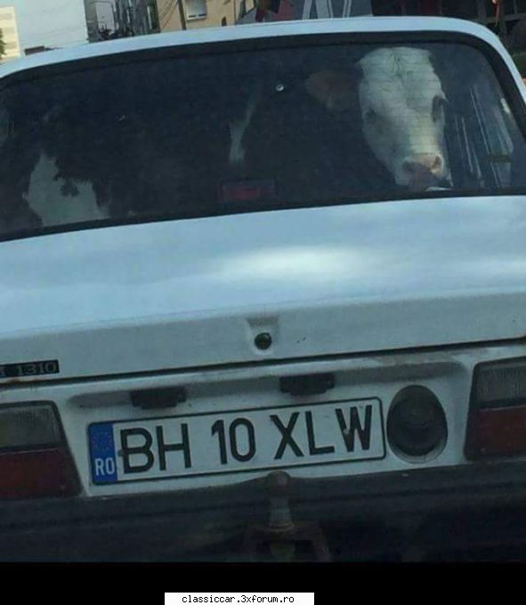 Oare merita sau nu se merita? - Iar cu breakurile poti cara mai mult* si asta e - Sfaturi de cumparare