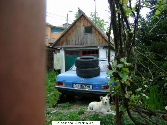 Opel Rekord D - Iata ce am gasit intr-o curte! - Am vazut prin Cluj-Napoca