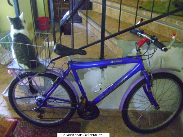 Operatiunea "Pegasus" - Da si sa nu uit de biciclete. Prin februarie am - Reconditionari si Restaurari