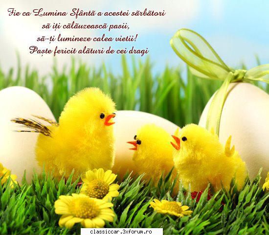 Paste Fericit ! - adifulful - Discutii libere