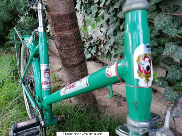 Pegas comoda 3024 - george-bogdan - Vanzari-Cumparari biciclete