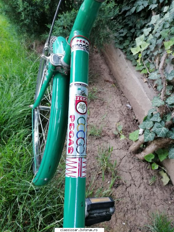Pegas comoda 3024 - george-bogdan - Vanzari-Cumparari biciclete