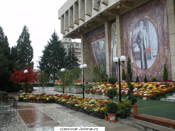 Poze de la intrarea la "Crizantema de Aur" . - mi-a placut pomul cu frunze - Arhiva evenimente 2009