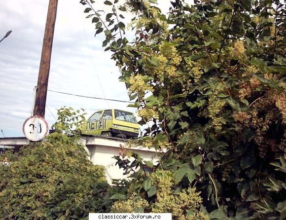 Poze din Remat Cluj-Napoca - Un Lastun care a devenit firma Rematului - Rust In Peace
