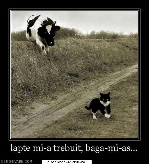 Poze... inedite! - wob - Coltul vesel
