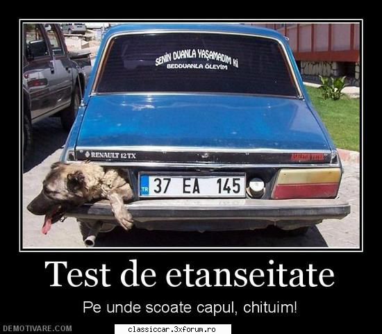 Poze... inedite! - wob - Coltul vesel