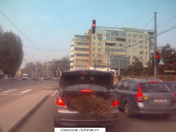 Poze... inedite! - incapatoare fata nu zic nu - Coltul vesel