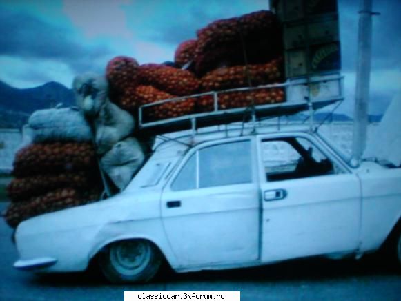 Poze... inedite! - porky-pig - Coltul vesel
