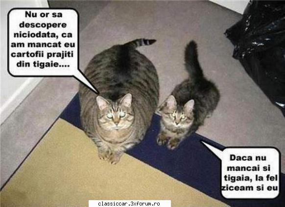 Poze... inedite! - Misu de Cluj - Coltul vesel