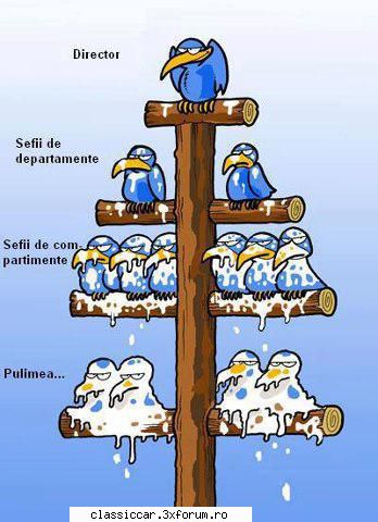 Poze... inedite! - vranceanu - Coltul vesel