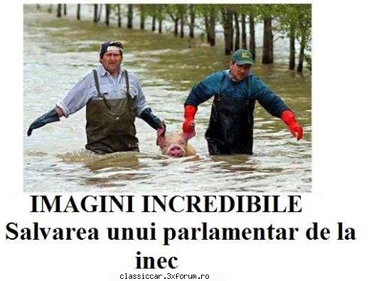 Poze... inedite! - Misu de Cluj - Coltul vesel