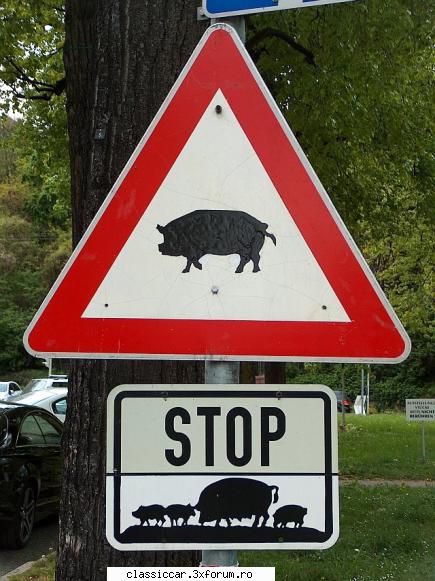 Poze... inedite! - bachus_21 - Coltul vesel