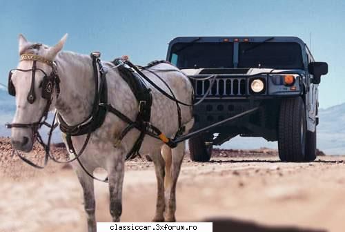Poze... inedite! - mama ei de criza! Hummer ecologic! - Coltul vesel